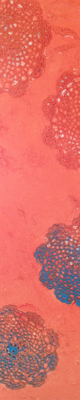 doilie 24x36
